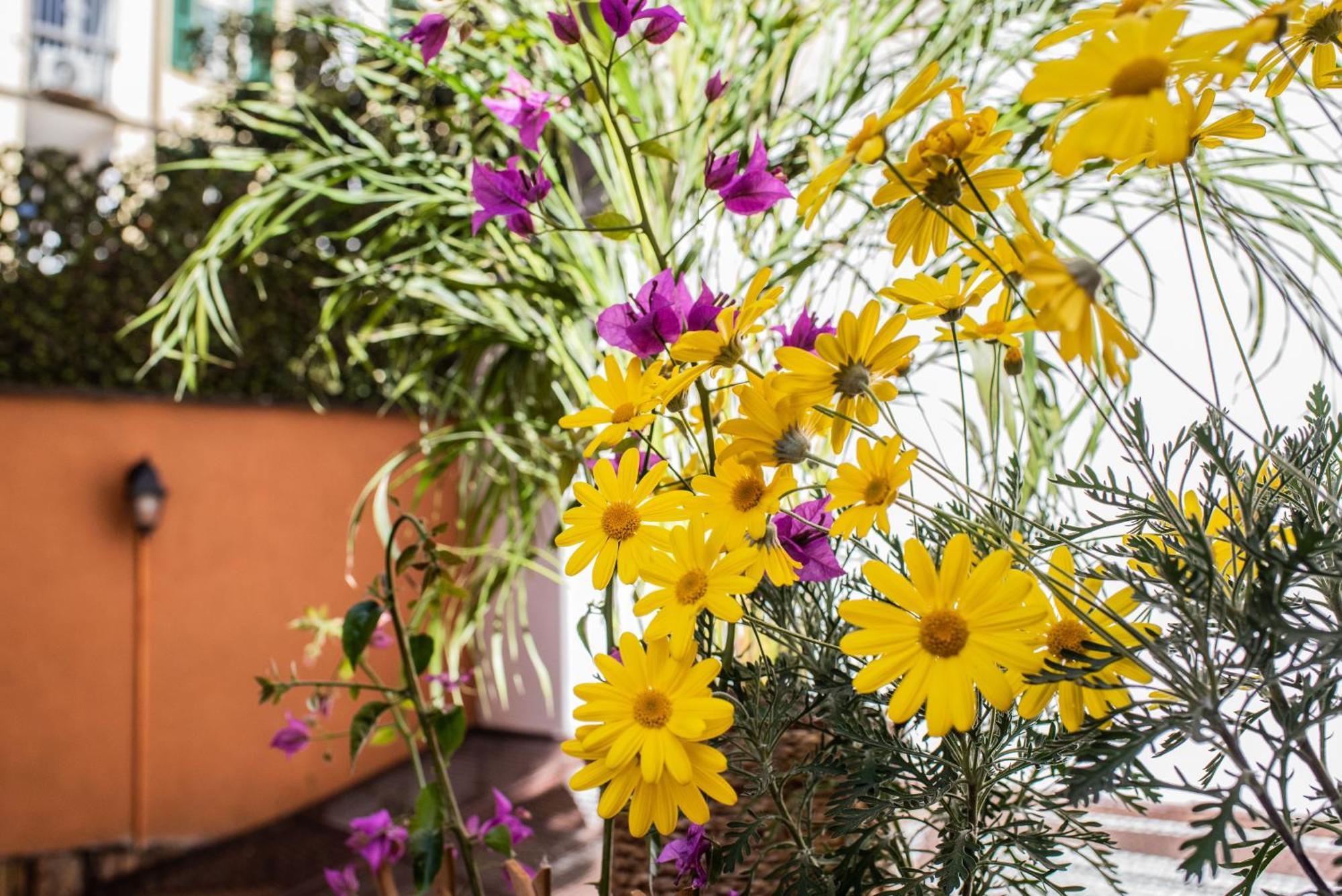 Apartamento Spanish Steps & Terrace *